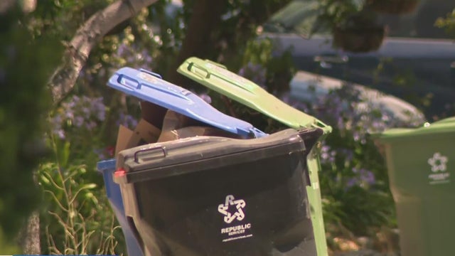 Trash Bins 