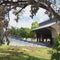 Hill Country Arts Foundation 
