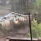 New Mexico flash flooding sweeps entire house away, prompts rescues