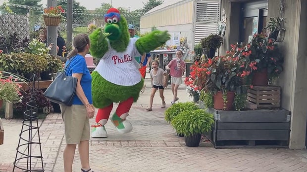 phanatic.jpg 