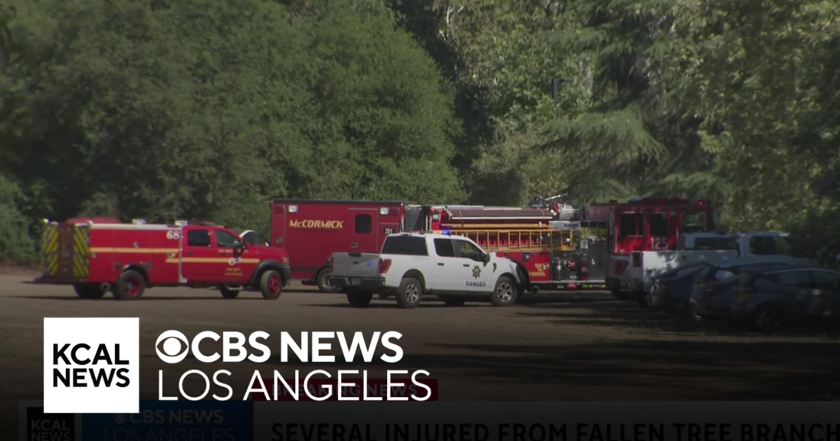 L.A. Getaway/米Org. 1 child killed after tree branch falls on campsite in Santa