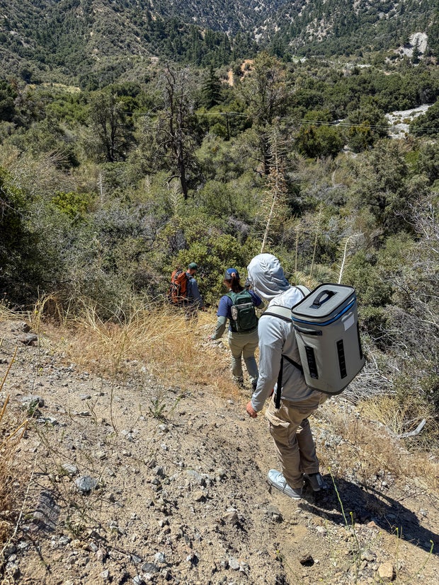 l-a-zoo-animal-care-team-hikes-in-san-bernardino-mountains-to-release-southern-mountain-yellow-legged-frog-tadpoles-and-sub-adults-photo-courtesy-of-l-a-zoo.jpg 