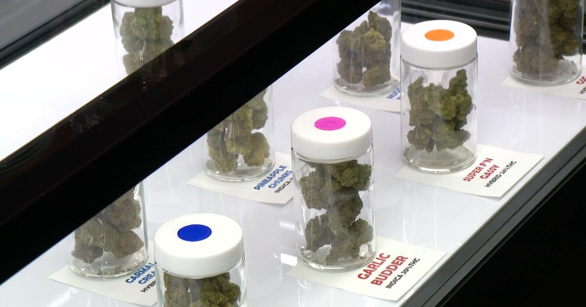 Albert Lea business hopes to be among first retail cannabis dispensaries in the state 