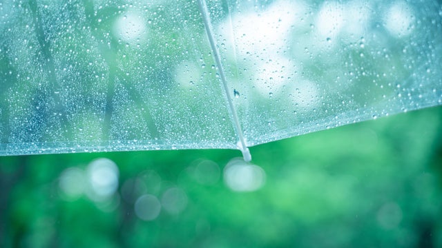 Wet umbrella in the rain 