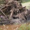 Texas flood rescue teams continue search for missing as death toll climbs