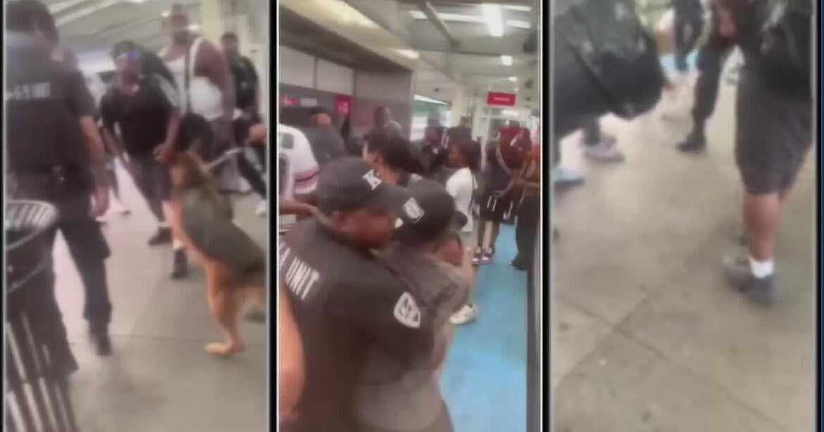 3 arrested after brawl with K9 security team at 69th Street station on Red Line 