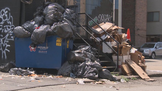 Trash strike 