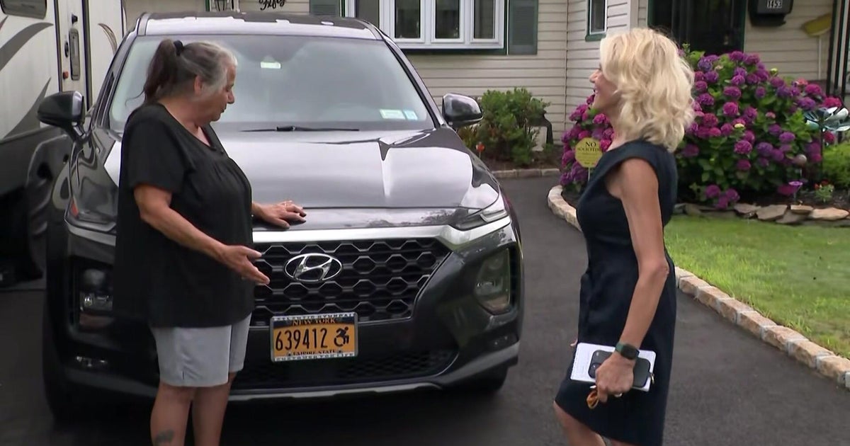 Long Island woman's license plate matches an NYPD car, prompting E-ZPass bills 