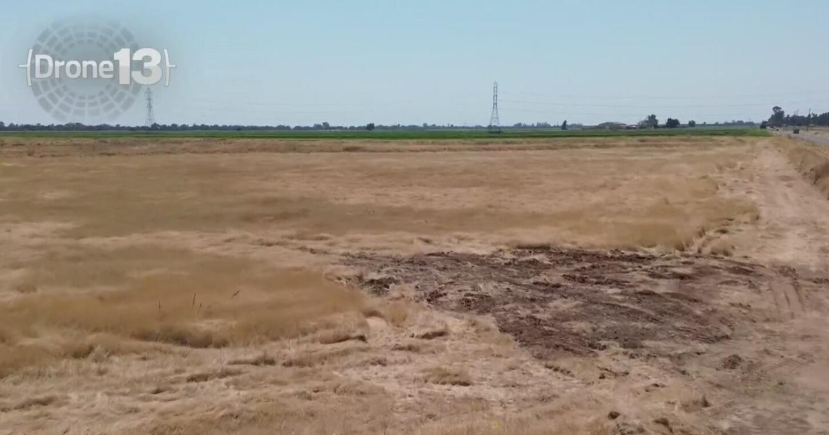 Placer County buys land to protect rare wildlife and wetlands near Roseville 