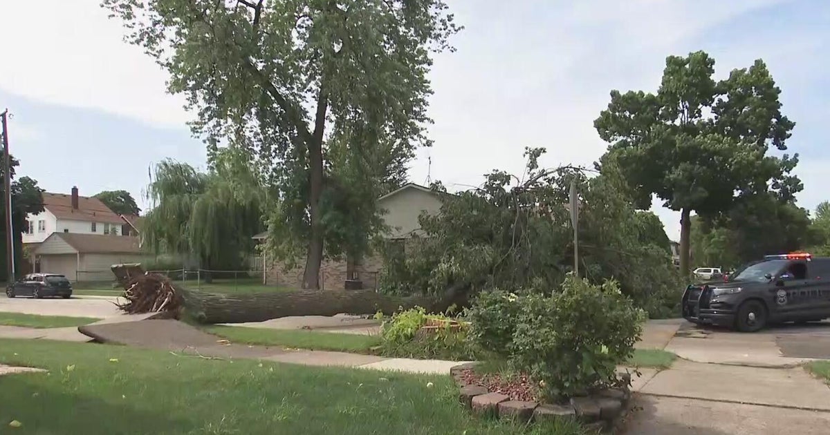 Outages reported, trees down as storms roll through Southeast Michigan 