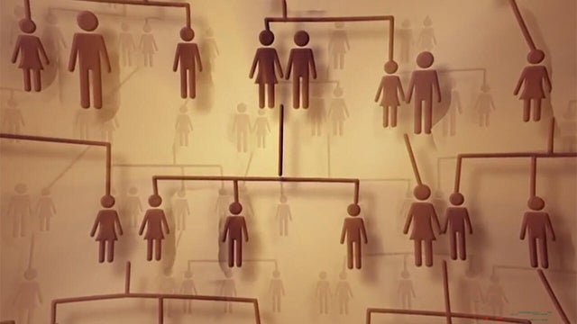                        Cracking the code: Using genetic genealogy to unmask serial criminals                   