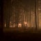 Dry conditions fueling dozens of wildifres across western U.S.