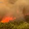 Eye Opener: Massive wildfires burn near the Grand Canyon