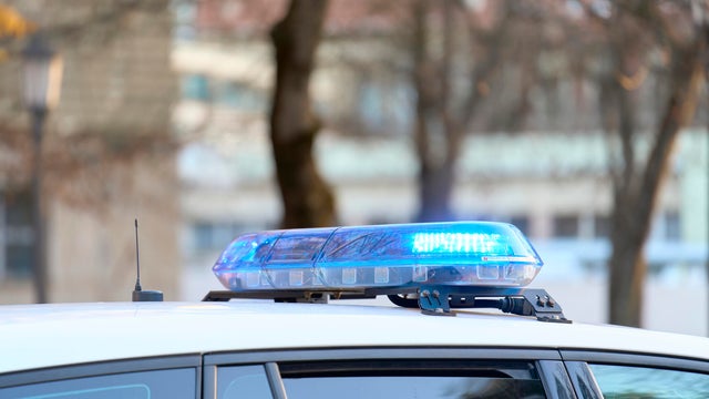                        Thieves steal $2 million in jewelry from Seattle store in 90 seconds                   