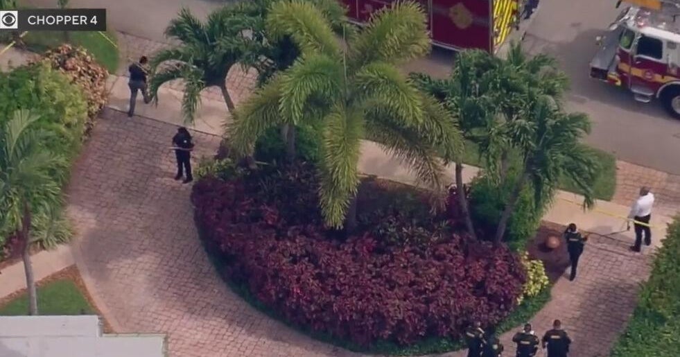 Tree trimmer electrocuted in Oakland Park
