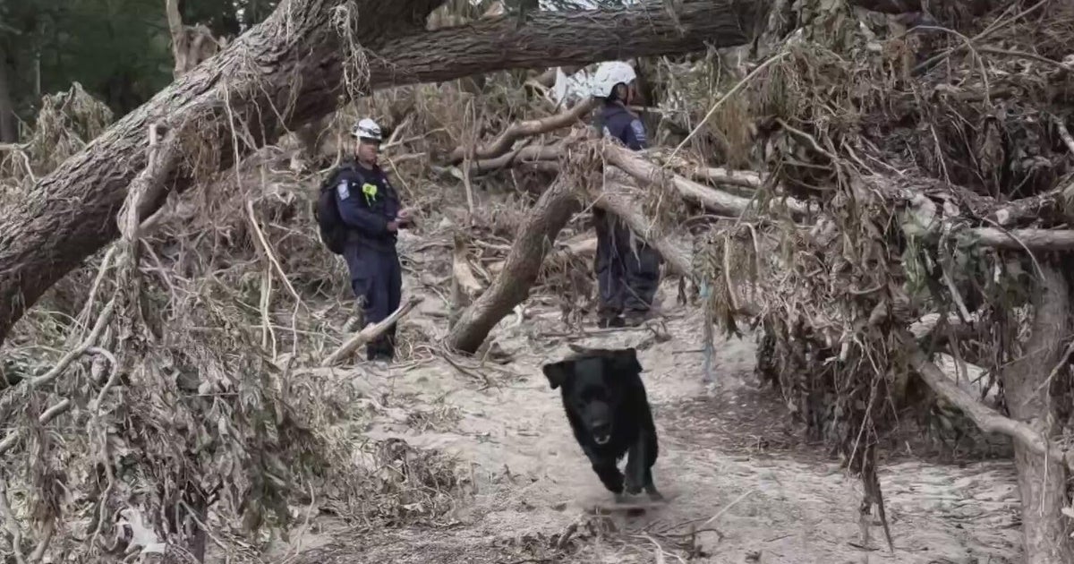 Bay Area first responders and K9s deployed to Texas to assist with disaster recovery 