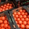Trump administration imposes 17% tariff on fresh Mexican tomatoes