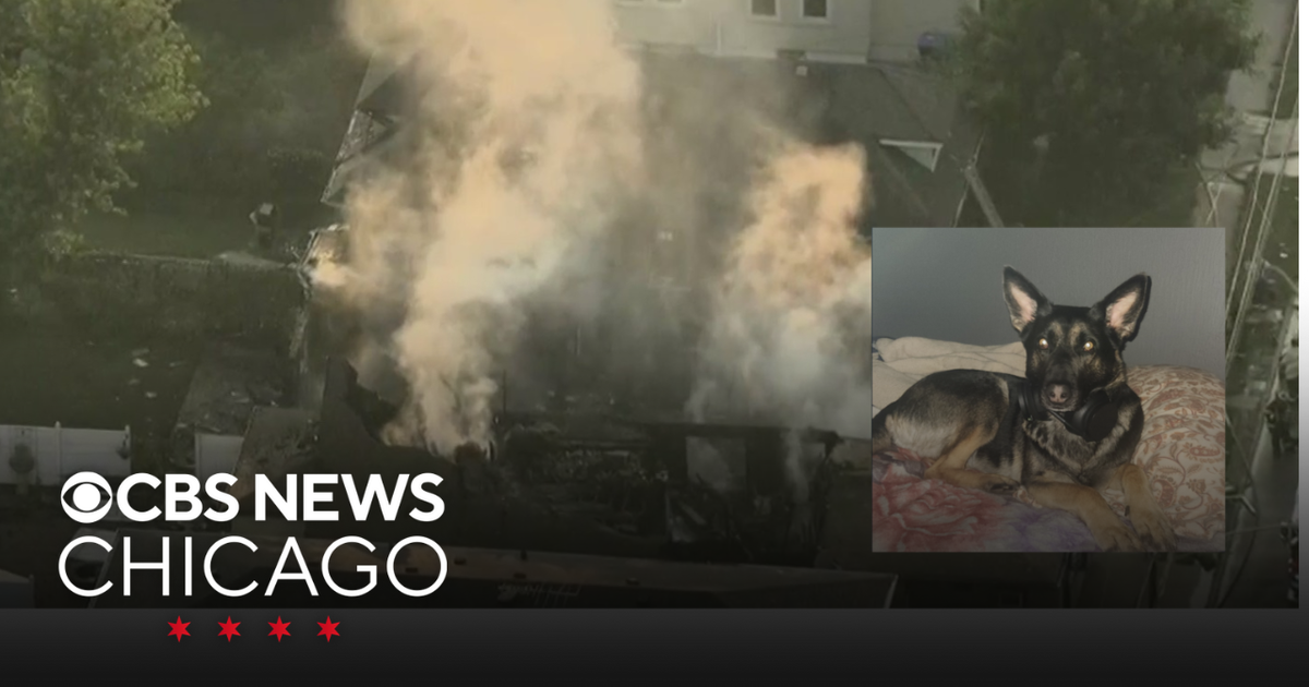 Dog missing after fire spreads to 4 homes in south Chicago suburb - CBS ...