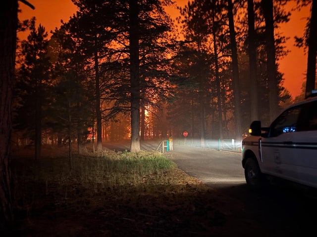 A firefighter and emergency vehicle are positioned in front of the Dragon Bravo Fire, July 10, 2025, with intense flames and thick smoke on the North Rim of the Grand Canyon. 