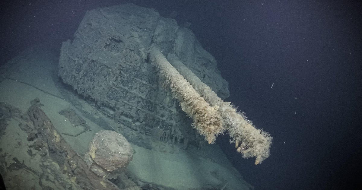 Japanese WWII destroyer torpedoed by U.S. boats discovered on Pacific seafloor — still armed with munitions Japanese WWII destroyer torpedoed by U.S. boats discovered on Pacific seafloor — still armed with munitions