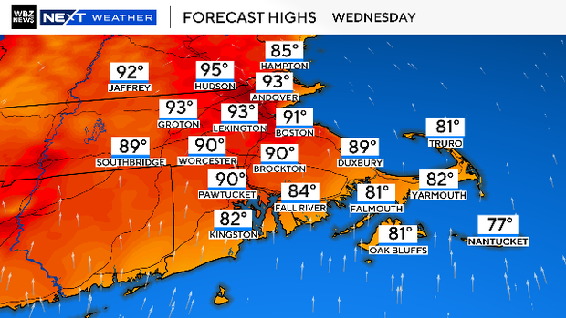 Forecast 