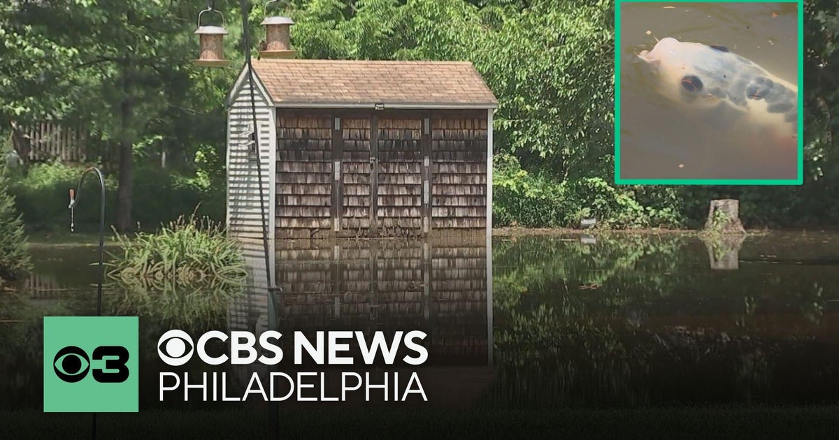 Residents clean up after rain floods roads, yards in Lehigh Valley, Pennsylvania - CBS Philadelphia
