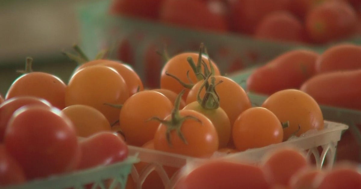 Stanislaus County farmer Mexico tomato tariff won't affect his prices 