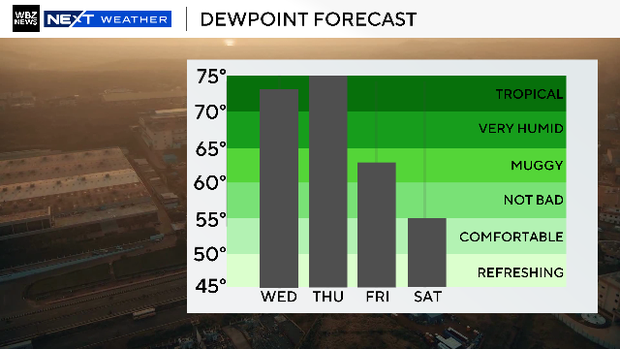 Dewpoint forecast 