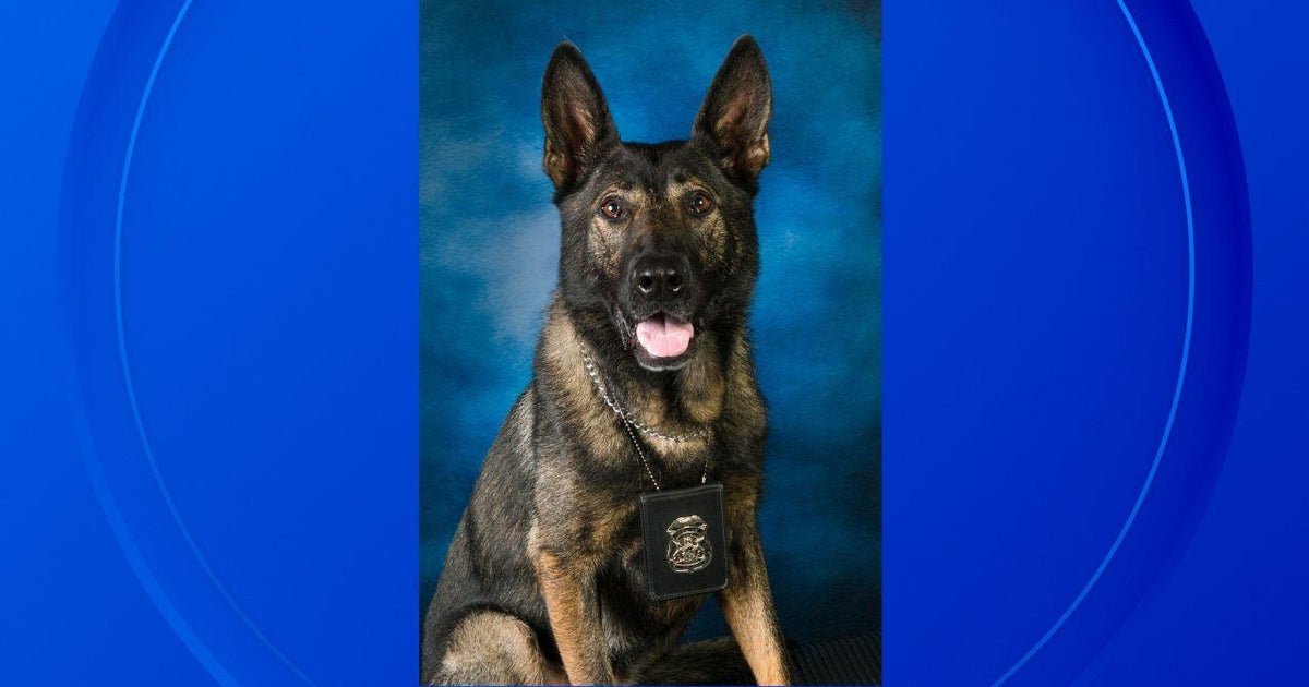 Huron Township police K-9 Chief gets final roll call 