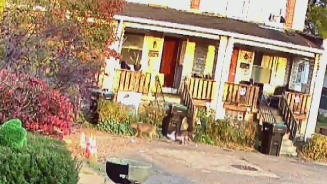 snapshot-2025-07-16t174218-082.jpg 