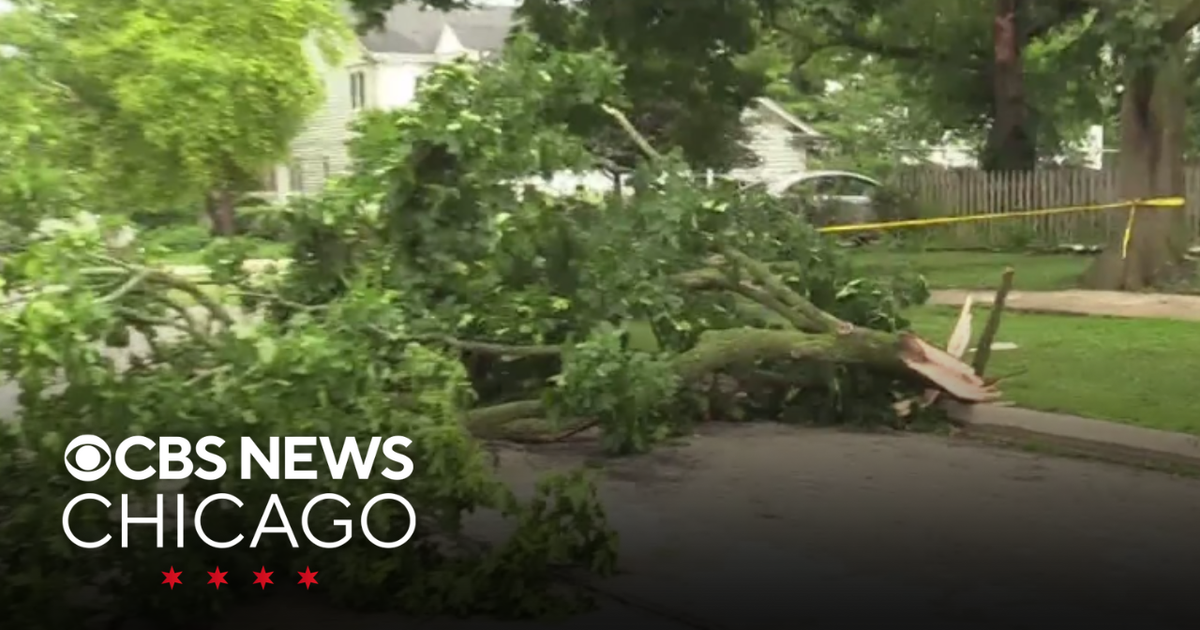 Storms sweep across the Chicago area, leaving trail of damage - CBS Chicago