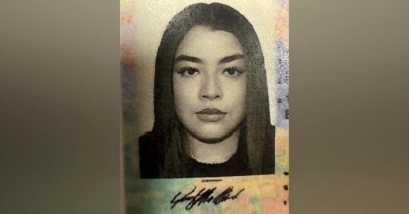 Police search for bank theft suspect, fourth victim shares photo of suspect ID 