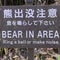 Bear roaming golf course halts play at tournament again