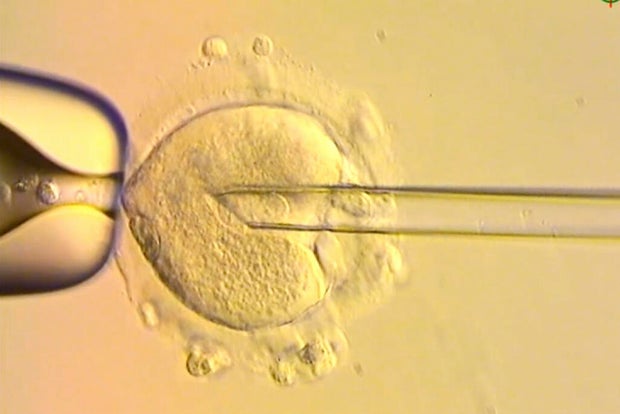 Three Person Baby 