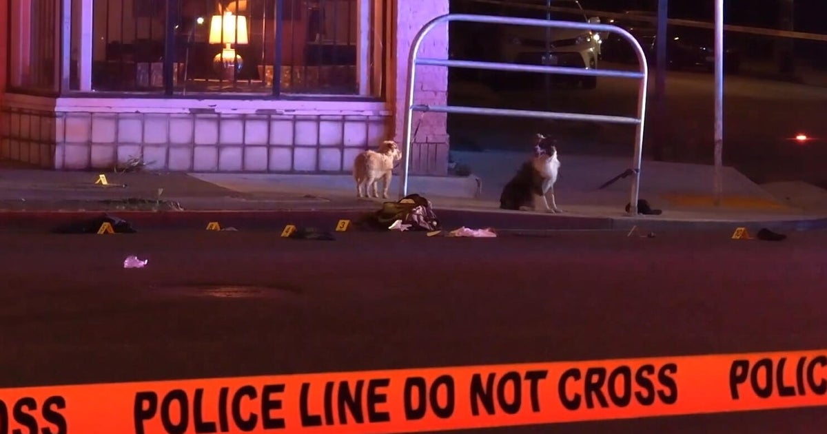 Woman walking dogs in San Leandro shot and killed; suspect arrested in Dublin 