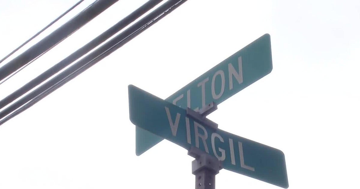 Pit bull attacks Dearborn Heights teen girl and her dog, police say 
