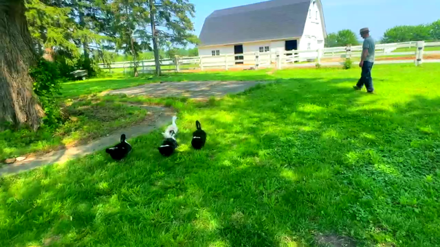 grundy-county-farm.png 