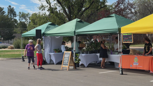 farmers-market-snap-mha-raw-frame-6359.png 