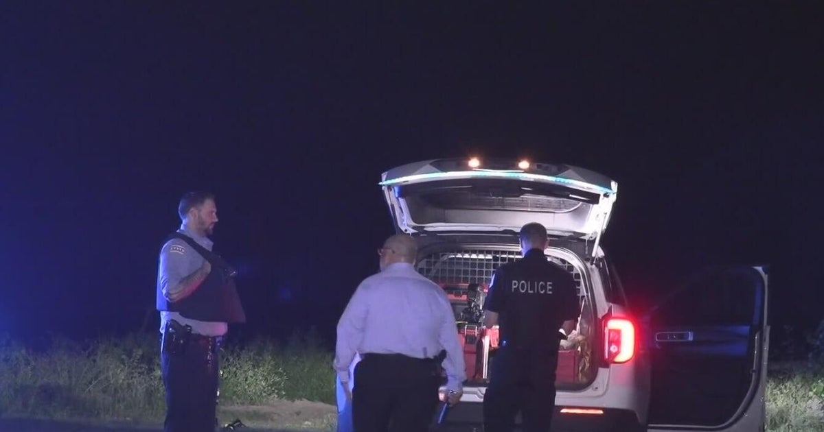 Woman in custody after allegedly drowning 1-year-old in Lake Michigan 