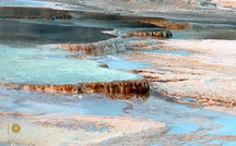 Extended Nature Video: Mammoth Hot Springs at Yellowstone 
