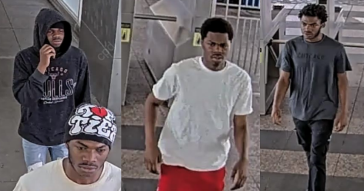 Chicago police warn of cellphone thieves at Sox–35th Red Line station 