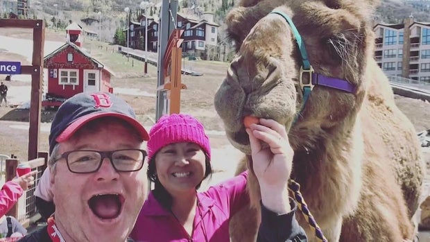 larry-the-camel-2.jpg 