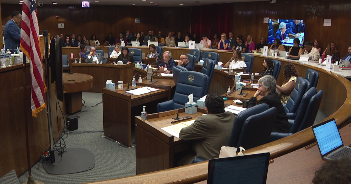 Crisis of domestic violence in Chicago addressed at county hearing 