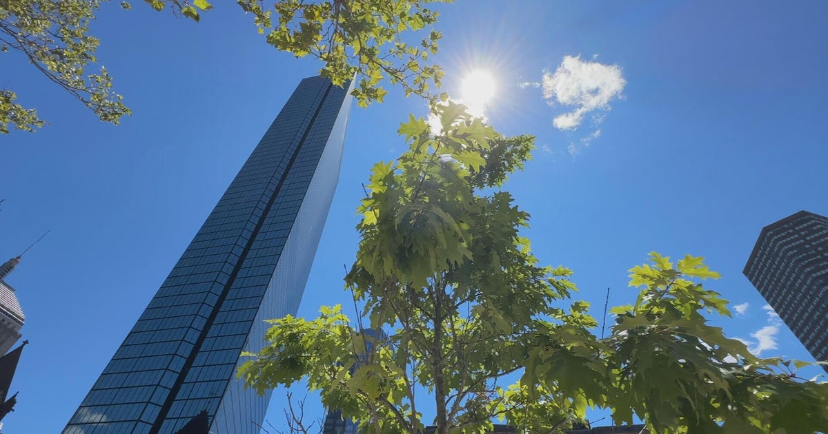 Boston's "heat islands" have dangerous impacts. How small changes could help 