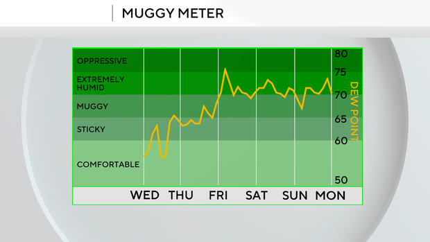 temp3.png 