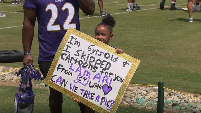 ravens4.png 