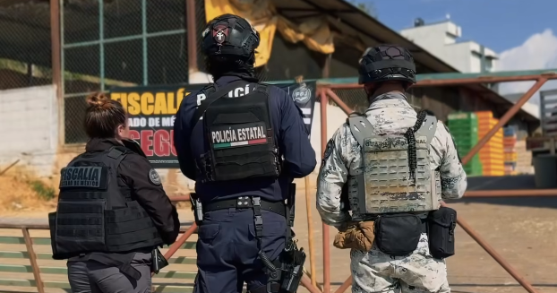 Cartel-linked extortion ring busted; exotic animals and cars seized 