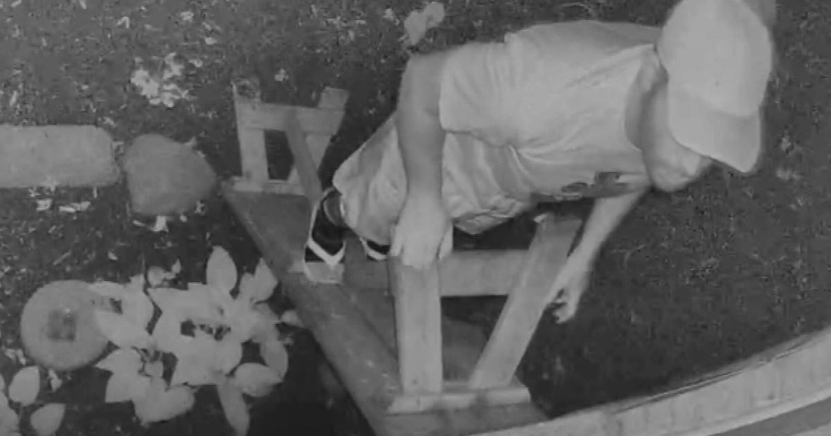 Police searching for man peeping into Boston apartment windows 