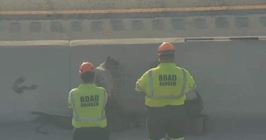 Wildlife officers wrangle gator on Turnpike in Miami-Dade