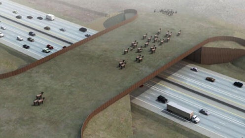 i-25-wildlife-overpass.jpg 